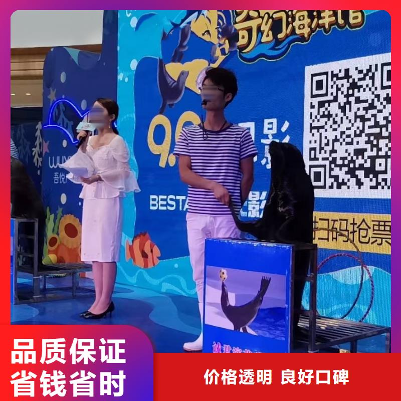 海洋展租赁厂家现货直发