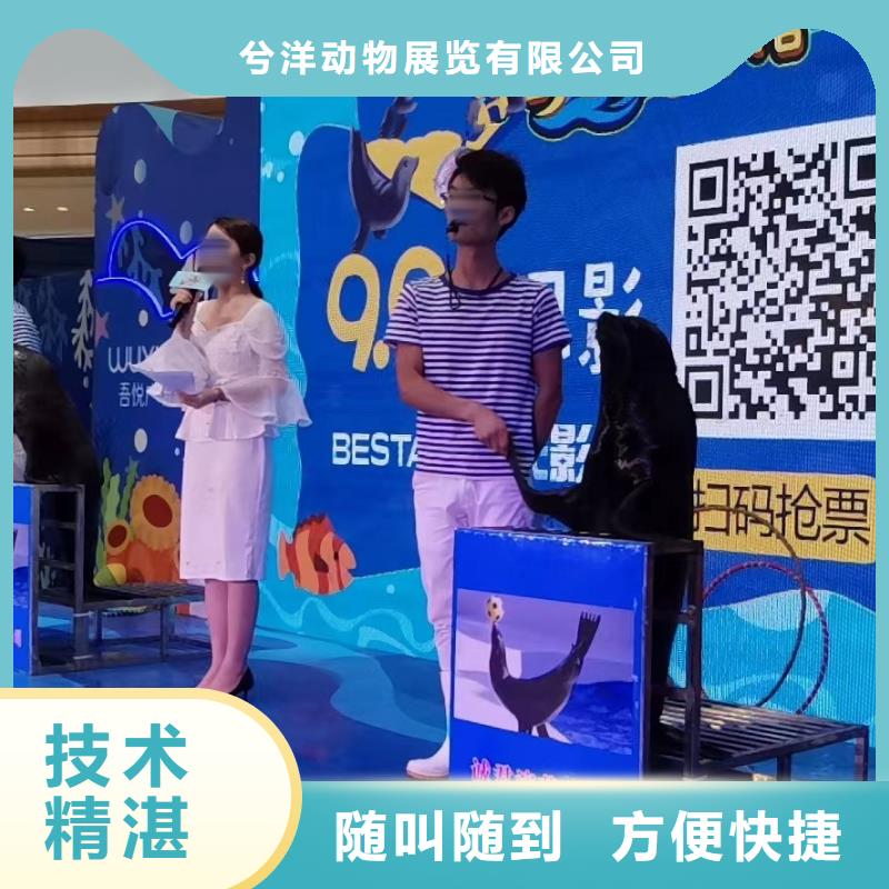 海洋生物展出租品种多价格低