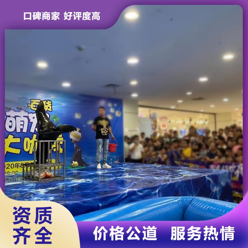 海洋主题动物表演羊驼出租团队