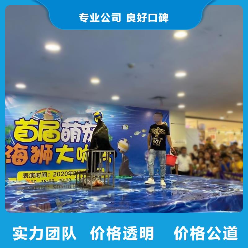 海洋主题动物表演动物表演知名公司