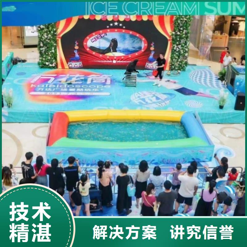 海洋主题动物表演羊驼出租放心