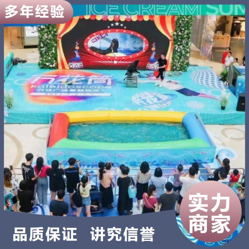 海洋主题动物表演,【马戏团表演出租】专业团队