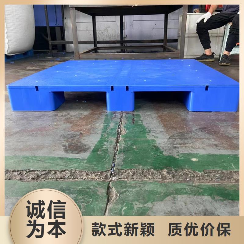 塑料拍子物美价廉