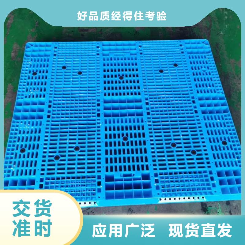 塑料拍子物美价廉