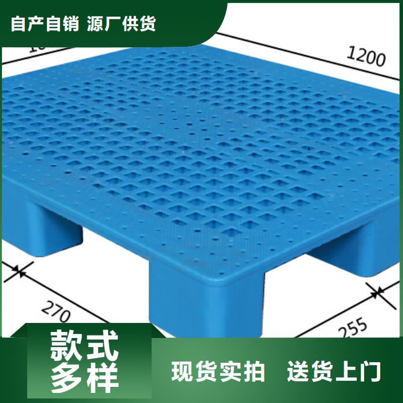 塑料拍子物美价廉