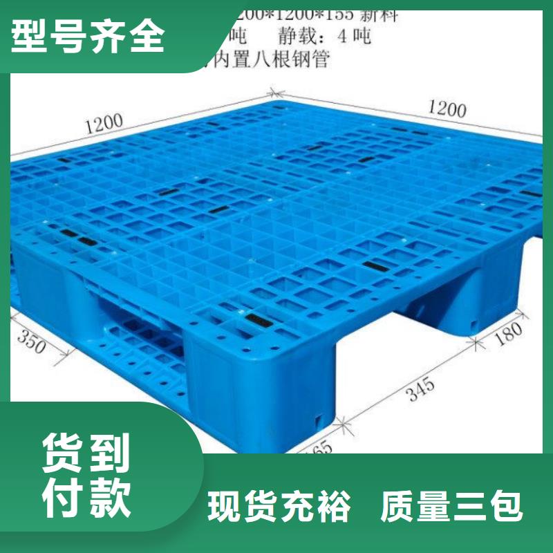 安达县塑料拍子价格行情
