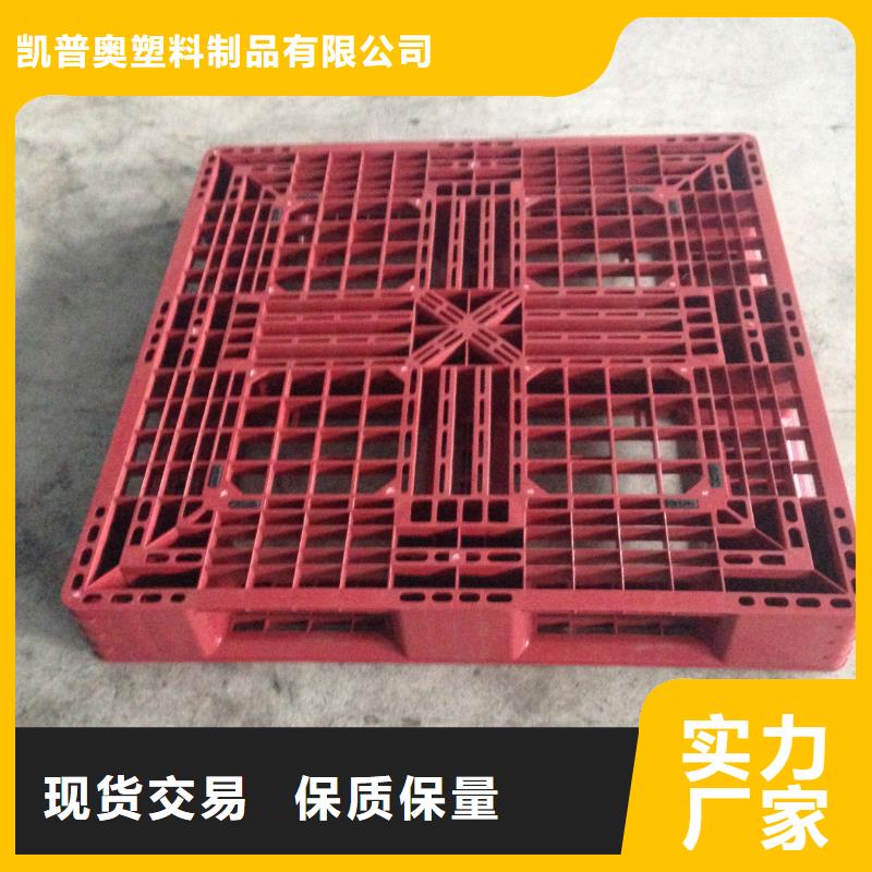 安达县塑料拍子价格行情