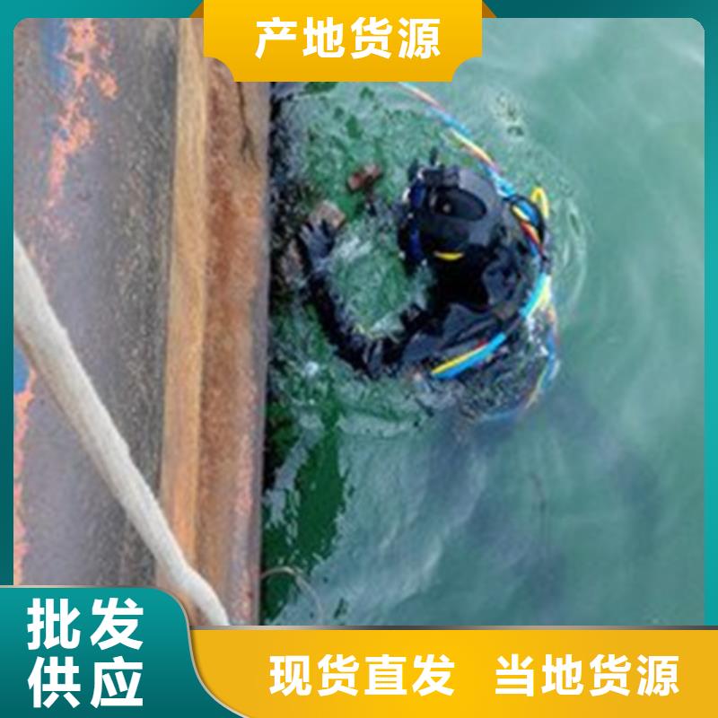水下闸门封堵