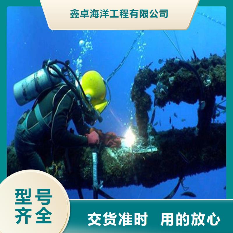 水下闸门封堵