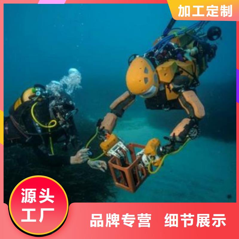水下闸门封堵