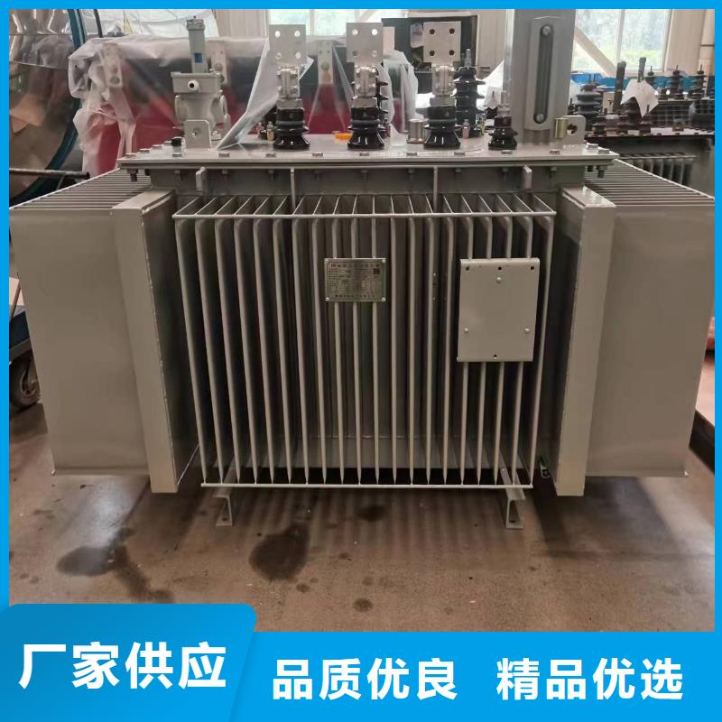 油浸式变压器,变压器厂家匠心工艺
