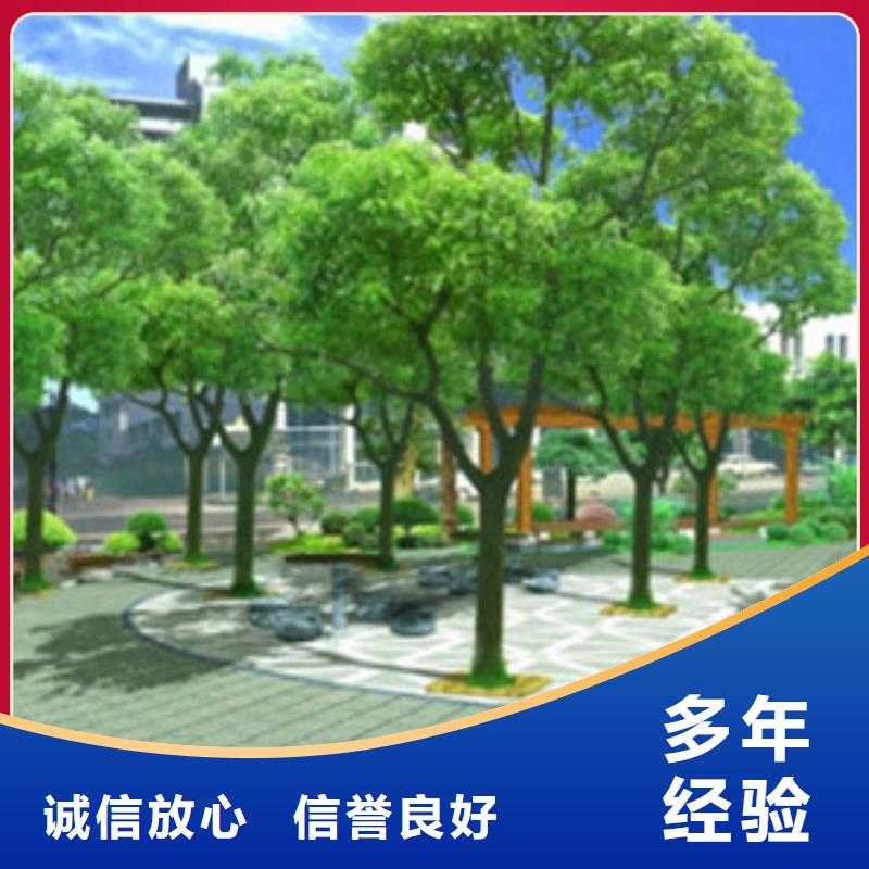 井阱县做工程预算的条件是什么