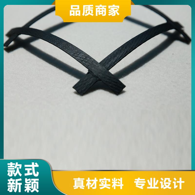 双向塑料土工格栅供应商