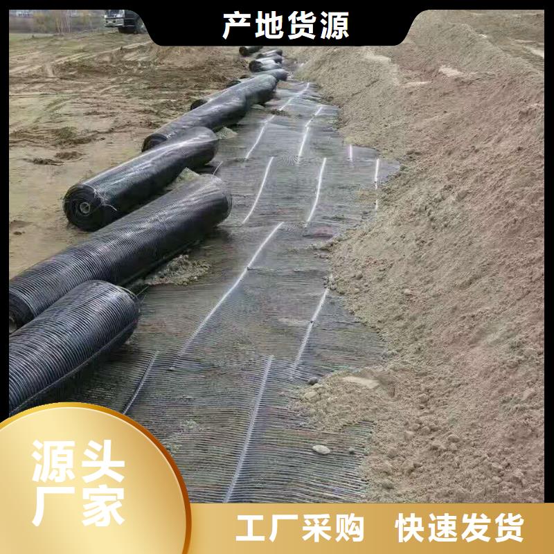 双向拉伸土工格栅供应商