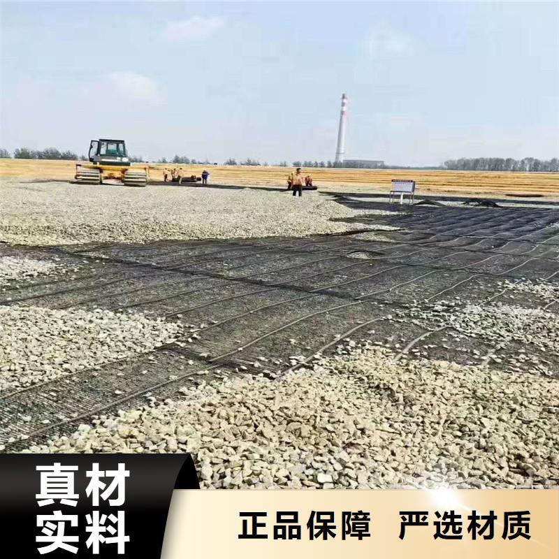 双向塑料格栅出厂价格
