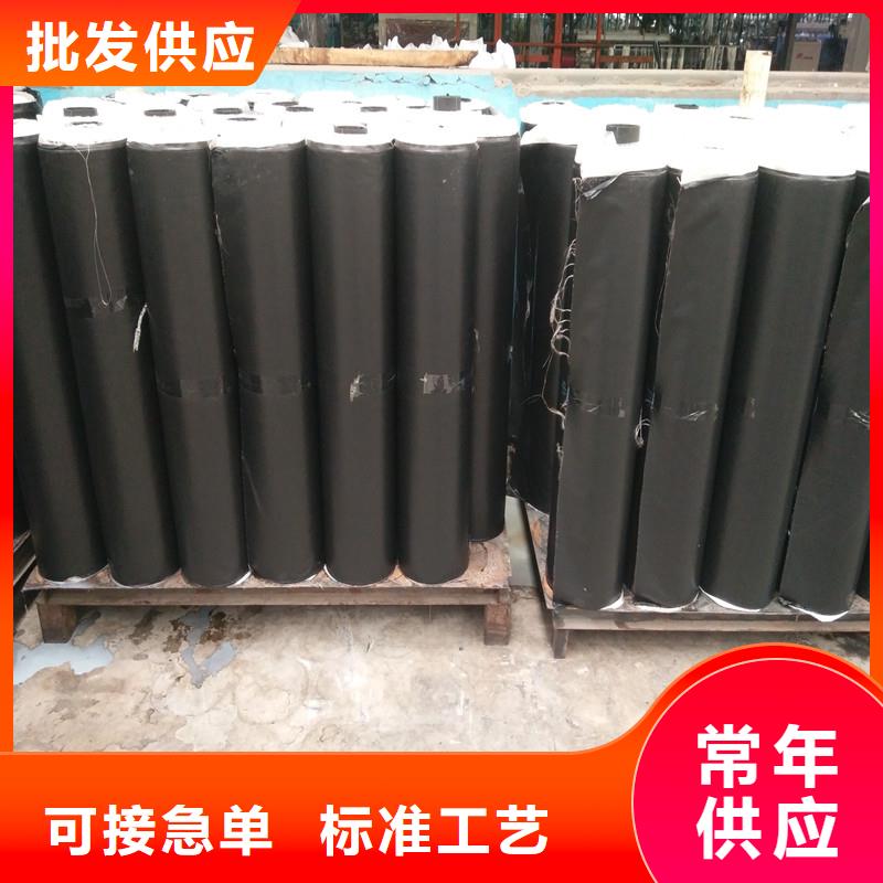双向拉伸土工格栅厂家