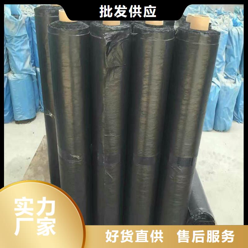 钢塑土工格栅单价