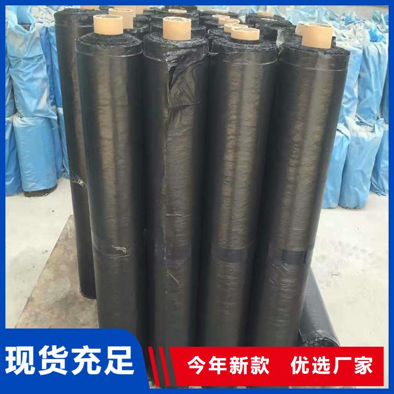 钢塑焊接土工格栅厂家