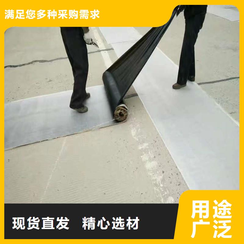 钢塑焊接土工格栅厂家