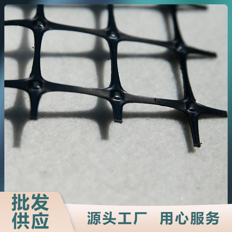 塑料土工格栅价格