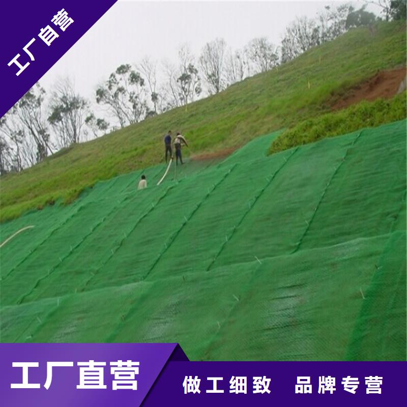 复合土工布价格