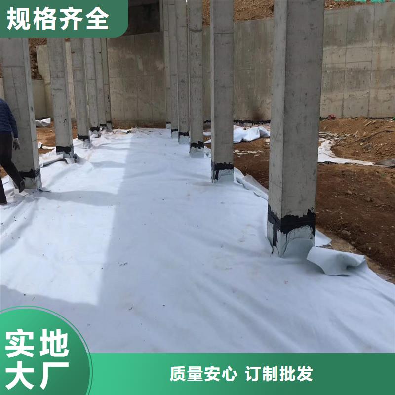 土工布-单向塑料土工格栅专注生产N年