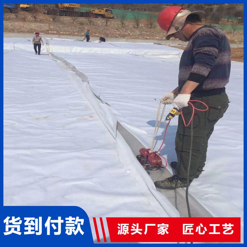 复合土工膜价格
