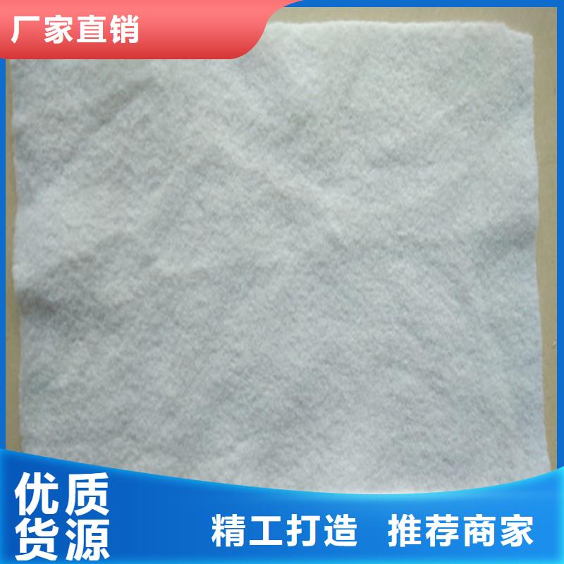 复合土工膜价格
