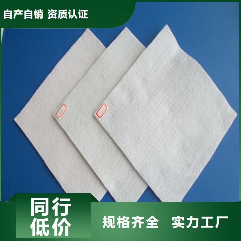 土工布-单向塑料土工格栅专注生产N年