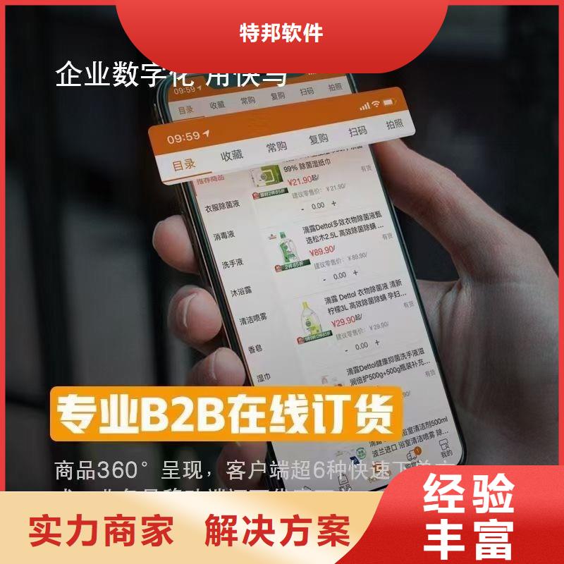 进销存系统
