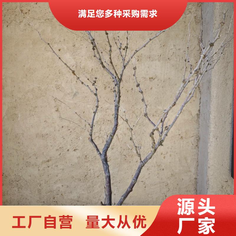民宿稻草泥施工装修效果