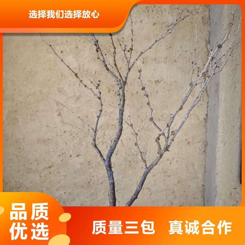 定制施工稻壳漆质优价廉