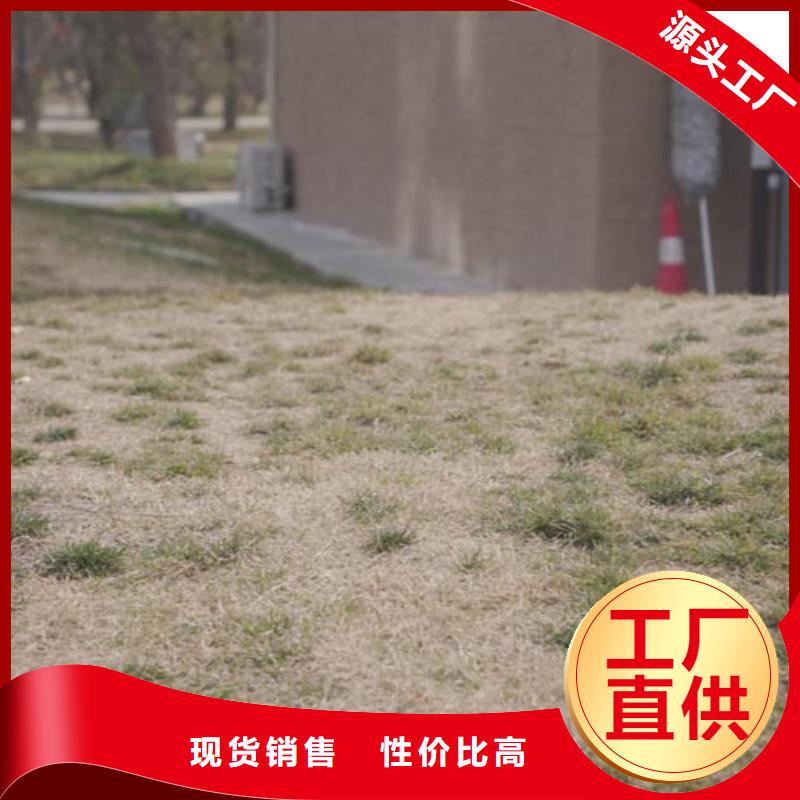 夯土墙面漆全包施工品质保证
