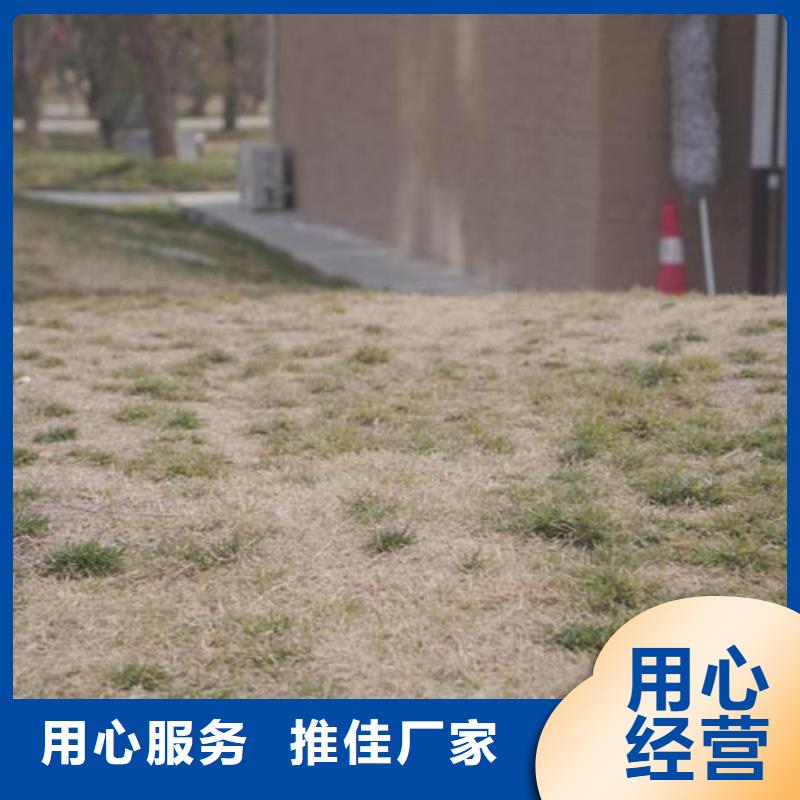 夯土艺术漆施工报价