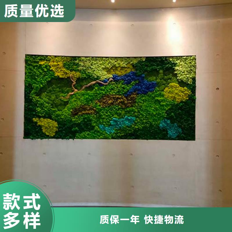 微水泥_肌理漆诚信经营质量保证