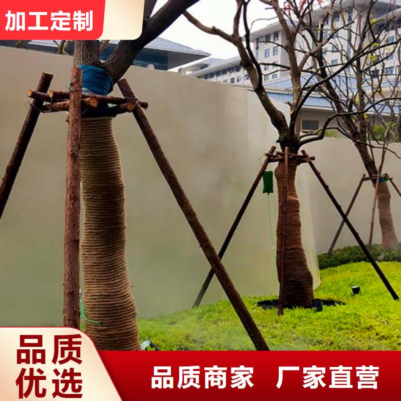 质感微水泥批发价格