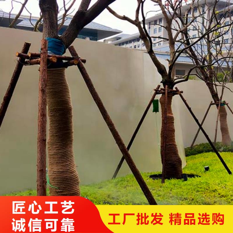 微水泥肌理漆敢与同行比服务