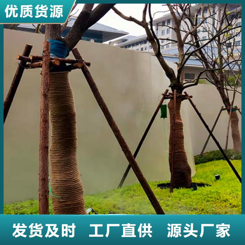 墙面微水泥价格行情