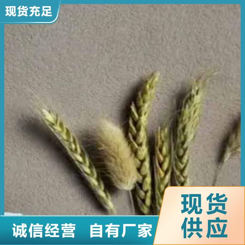 雅晶石内墙稻草泥以质量求生存