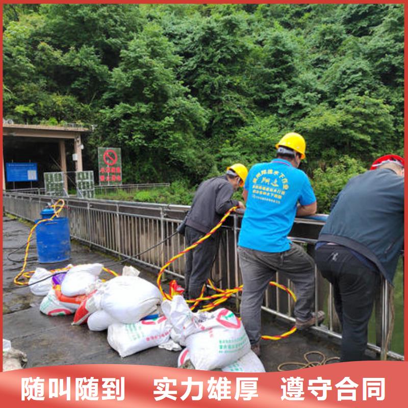 蝶山区水下封堵气囊施工队伍