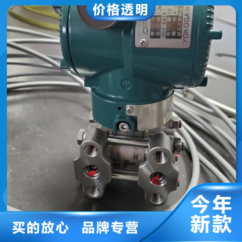 压力变送器PDS403H-1CS1-D2DNG61G82