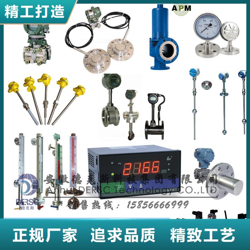 PDS485H-1ES24KC-AA03-D1DNG61