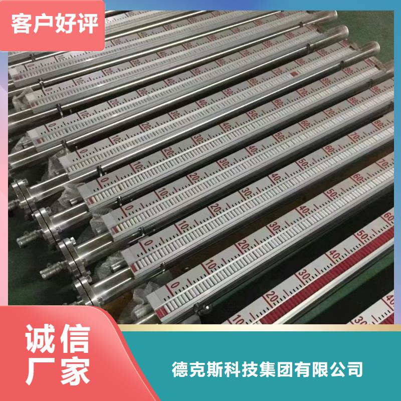 PDS485H-1FS63EC-AA03-D1DNG61