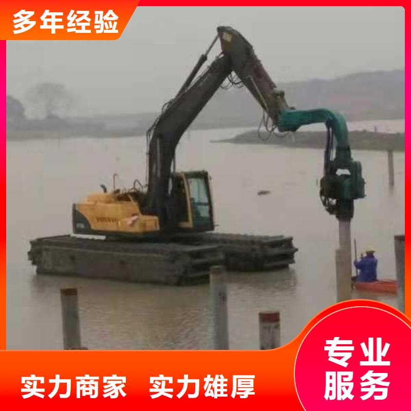 水陆挖掘机租赁组图