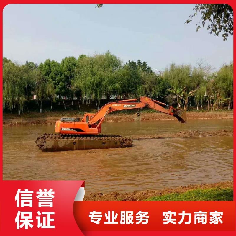 
两栖挖掘机租赁
报价