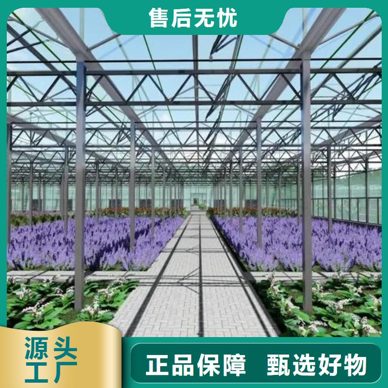 杨梅单体大棚源头厂家免费指导