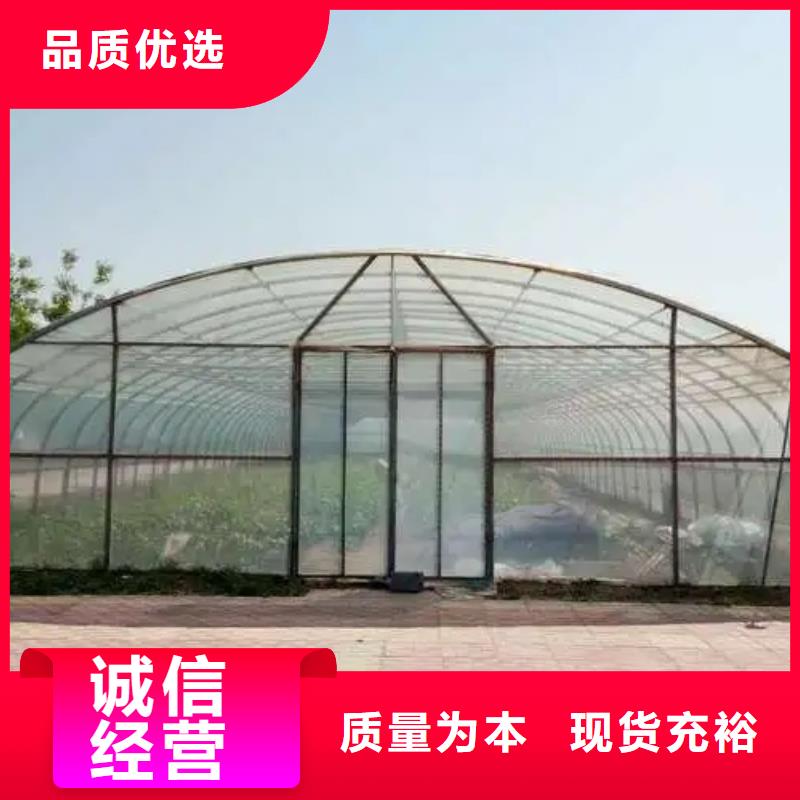 连栋温室大棚图片价格透明