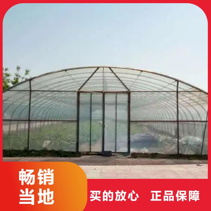 杨梅单体大棚源头厂家免费指导