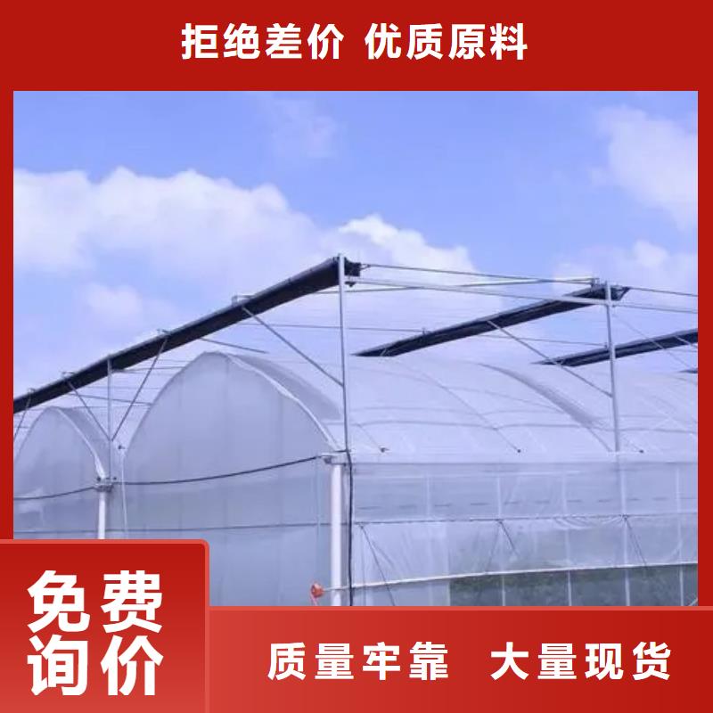 五台县单体蔬菜大棚询问报价