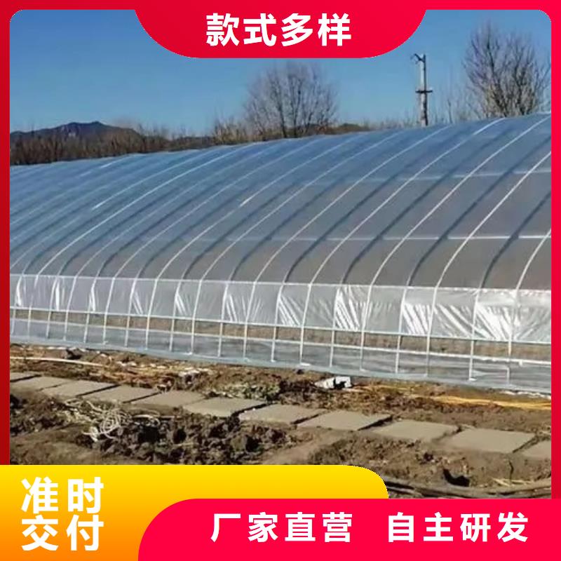 草莓温室大棚厂家价格免费指导